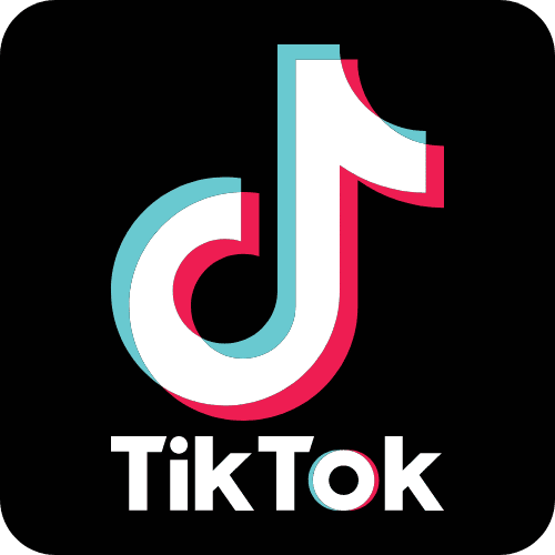 Tiktok advertising services at Profitiya agency